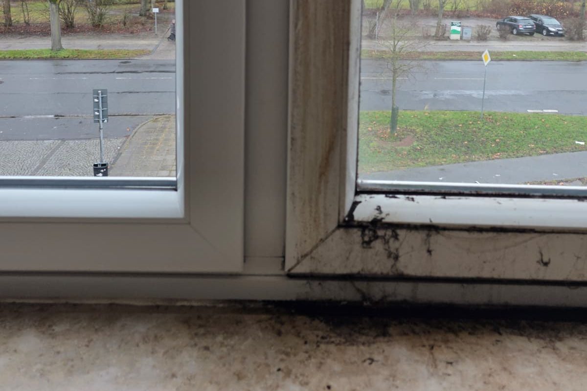 Fenster vor und nach der Reinigung im Vergleich